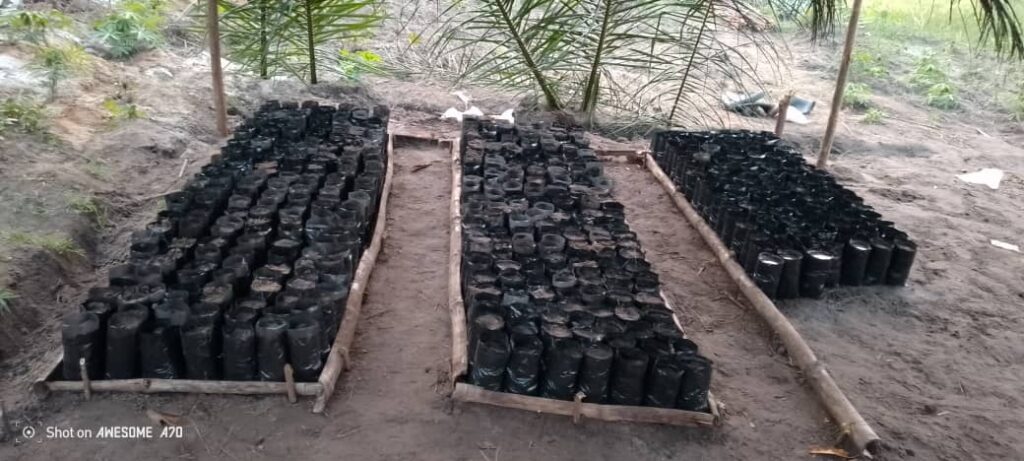 WhatsApp Image 2026 03 09 at 15.24.26(1)