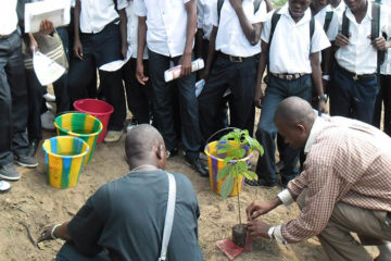 Projet de sensibilisation des élèves de la ville province de Kinshasa sur l’importance de l’arbre dans nos milieux de vie