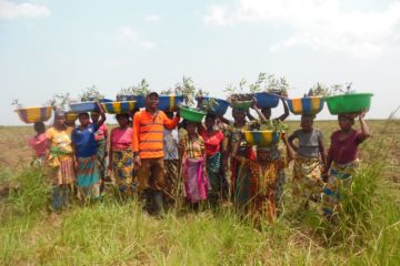 Projet d’appui à la productivité agricole des femmes ménagères par l’agroforesterie en vue de lutter contre la dégradation des sols et promouvoir la conservation communautaire