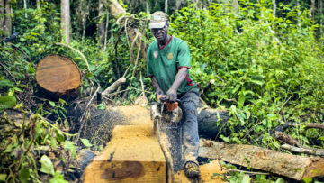 Le ctidd se lance à renforcer la veille légale des activités d’exploitation de bois d’œuvre pour s’assurer de leur conformité selon l’arrêté 84