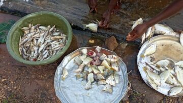 Protection des eaux douces de 3 villages de la province du Sud-Ubangi, encore de perspective à considérer