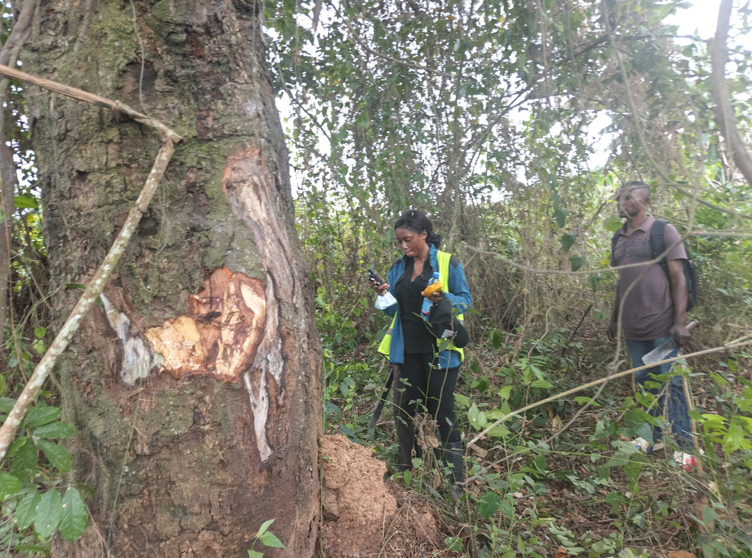 Collectes des données avec le GPS (8) resultat