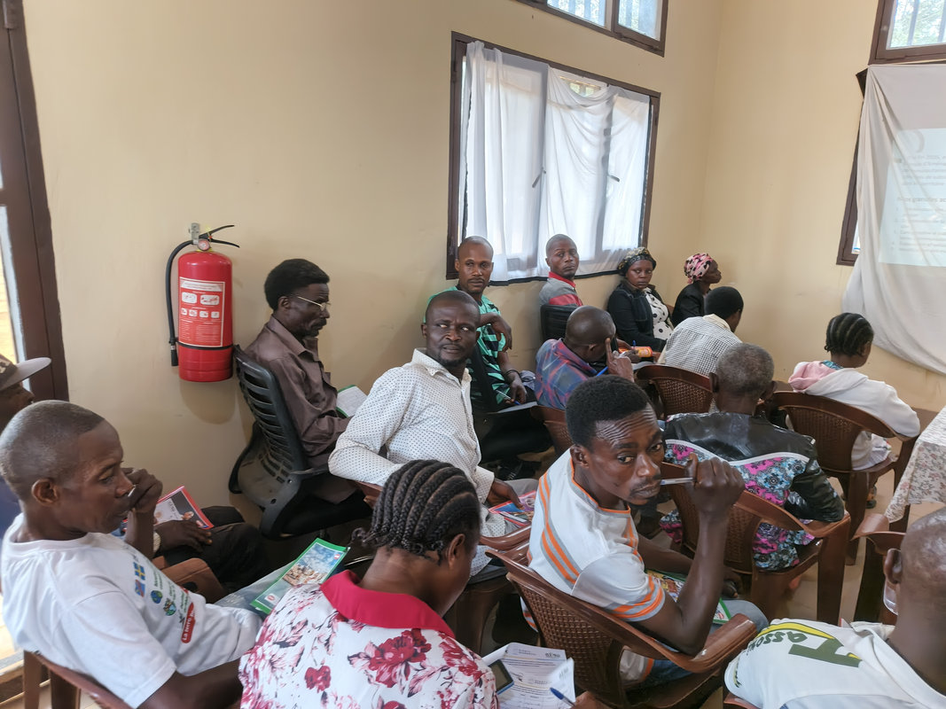 'étude de référence (4)