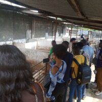 photo formation VEC RDC déc 2024 (3)