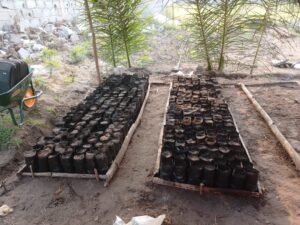 WhatsApp Image 2026 03 09 at 15.24.25(1)