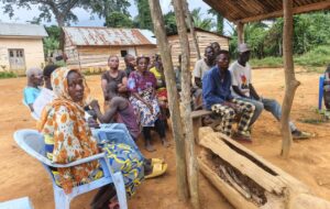 Structuration et formation des communautés à Kibunzi 1