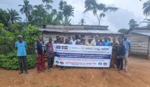 Structuration et formation des communautés à Kibunzi