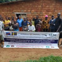 Structuration et formation des communautés à kinzambi w